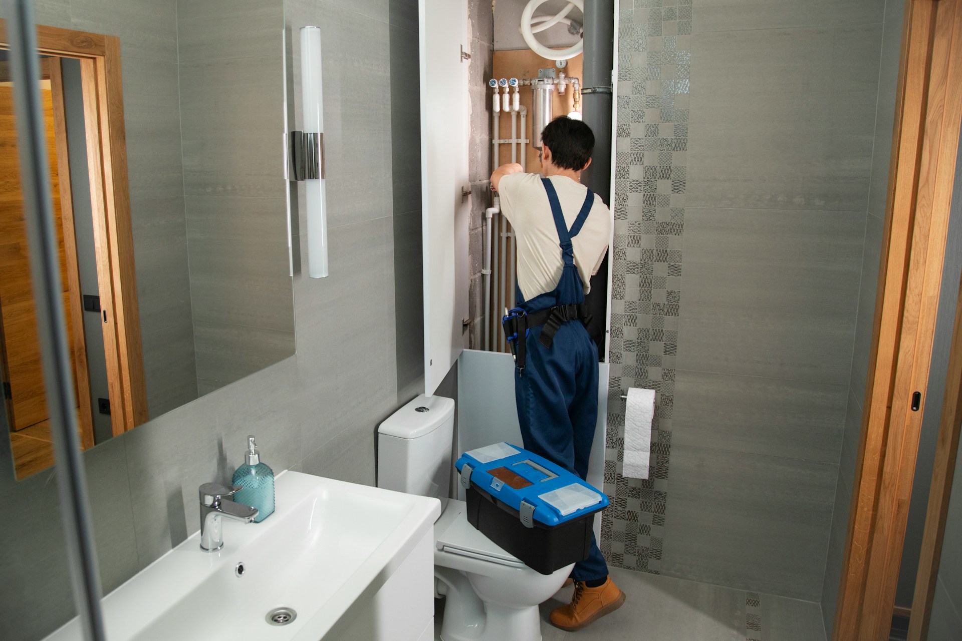 Professional Plumbing Services